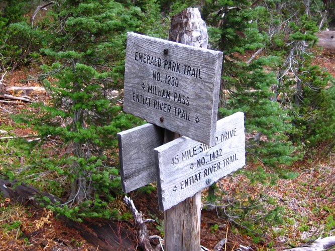 Here's where we left the main trail up the valley, and climbed up the west side toward Borealis Pass.
We lost the trail for awhile in meadows, but continued up meadows surrounding the drainage.